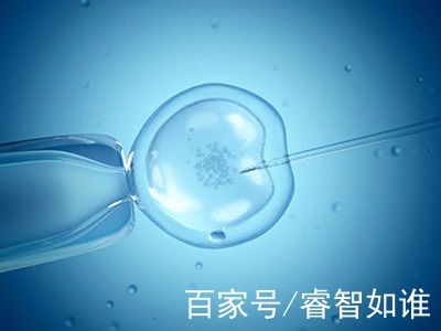 代生选性别包生男孩生殖中心